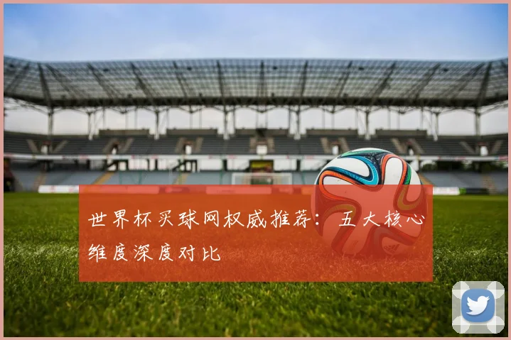 世界杯买球网权威推荐:五大核心维度深度对比