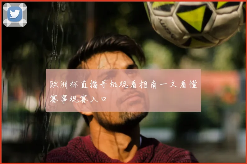 欧洲杯直播手机观看指南一文看懂赛事观赛入口