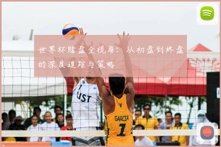 世界杯赌盘全视角：从初盘到终盘的深度追踪与策略