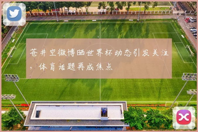 苍井空微博晒世界杯动态引发关注,体育话题再成焦点