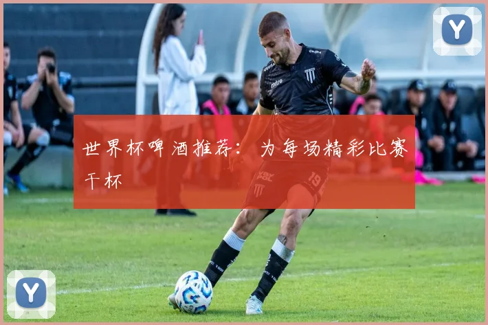 世界杯啤酒推荐：为每场精彩比赛干杯