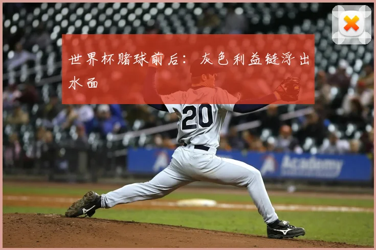 世界杯赌球前后：灰色利益链浮出水面