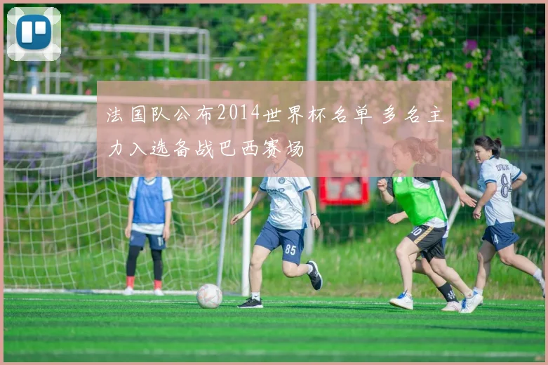 法国队公布2014世界杯名单 多名主力入选备战巴西赛场