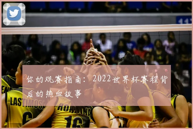 你的观赛指南：2022世界杯赛程背后的热血故事