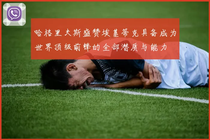 哈格里夫斯盛赞埃基蒂克具备成为世界顶级前锋的全部潜质与能力