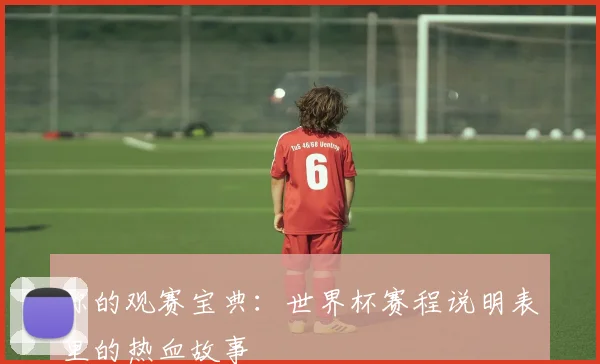 你的观赛宝典:世界杯赛程说明表里的热血故事