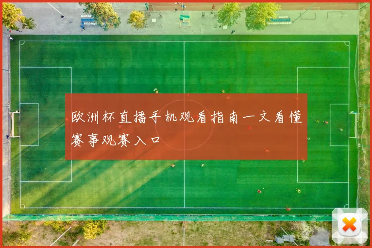 欧洲杯直播手机观看指南一文看懂赛事观赛入口