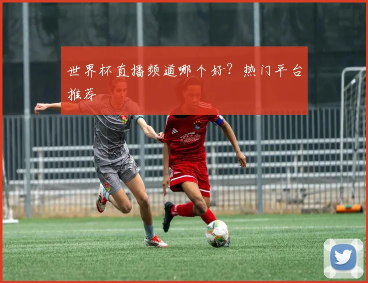 世界杯直播频道哪个好?热门平台推荐