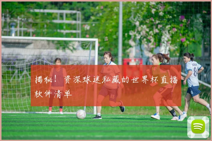 揭秘！资深球迷私藏的世界杯直播软件清单